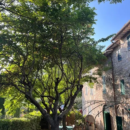 Appartamenti Fosso Delle Carceri San Vitale Exterior photo
