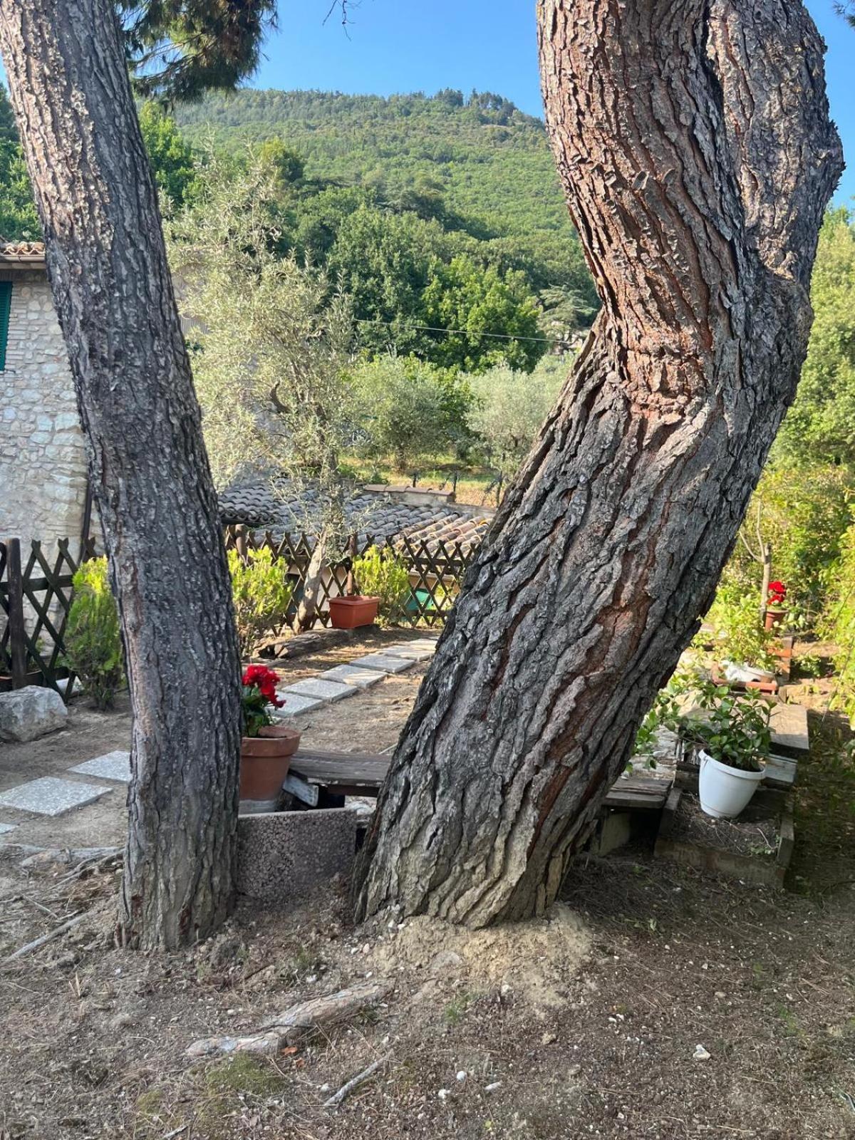 Fosso Delle Carceri *